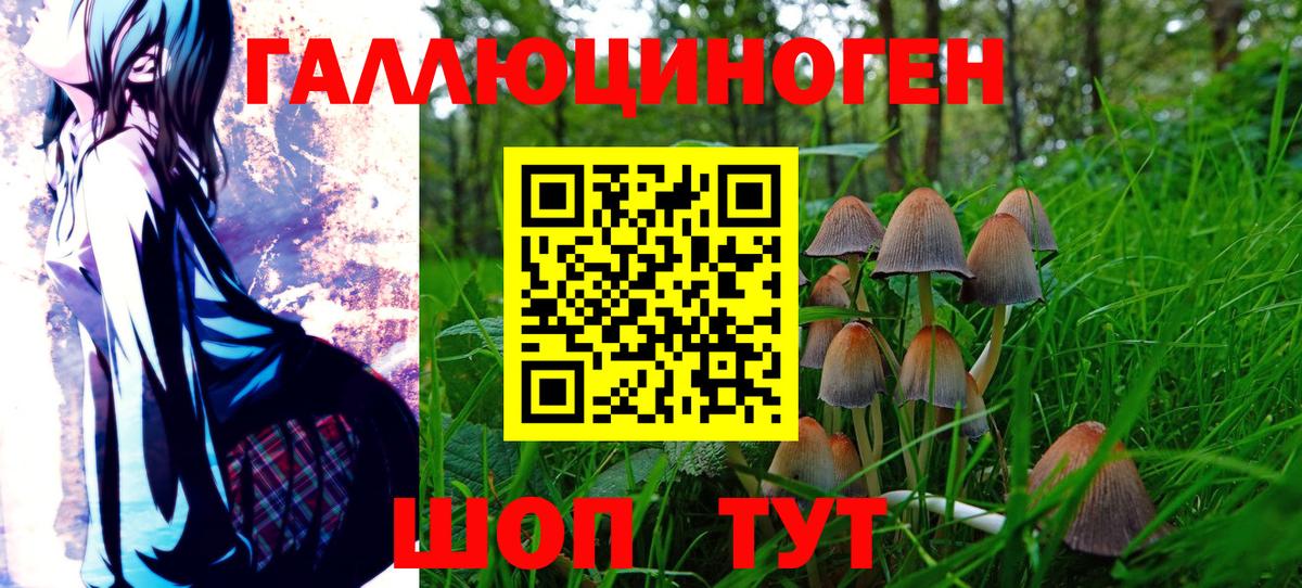 Галлюциногенные грибы прущие грибы Саранск